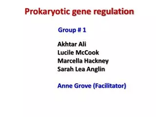 Prokaryotic gene regulation