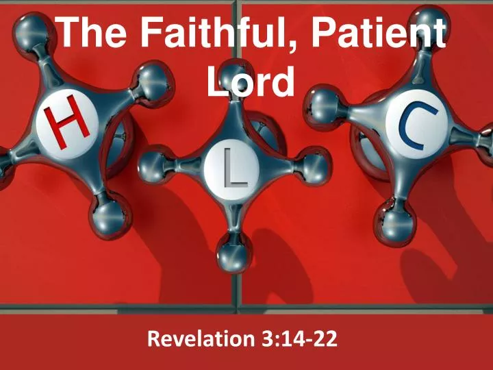 the faithful patient lord