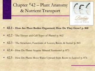 42.1 - How Are Plant Bodies Organized; How Do They Grow? p. 860