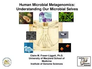 Human Microbial Metagenomics: Understanding Our Microbial Selves
