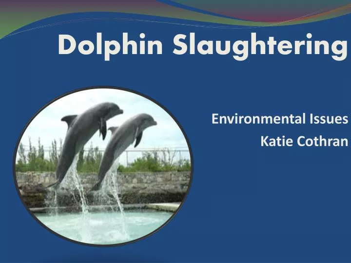 dolphin slaughtering environmental issues katie cothran