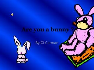 Are you a bunny ?