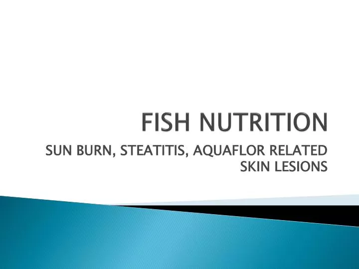 fish nutrition