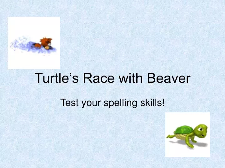 turtle s race with beaver