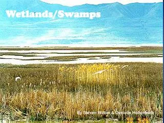 Wetlands/ Swamps