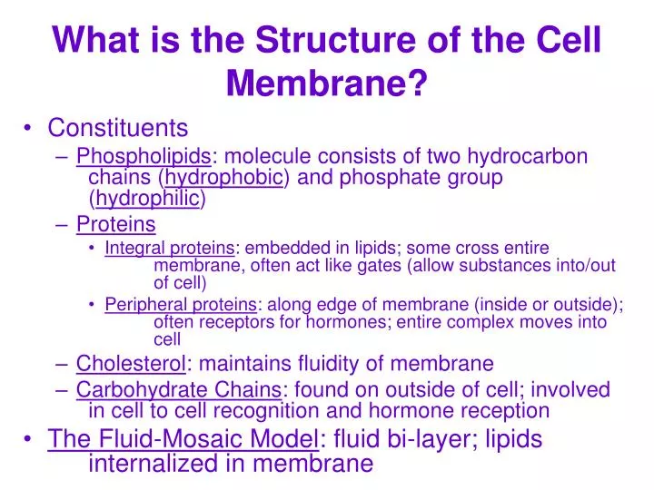what is the structure of the cell membrane