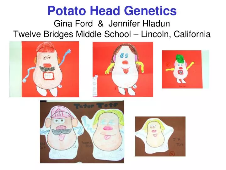 potato head genetics gina ford jennifer hladun twelve bridges middle school lincoln california