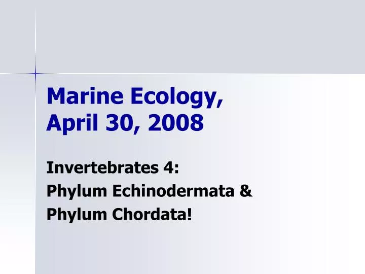 marine ecology april 30 2008