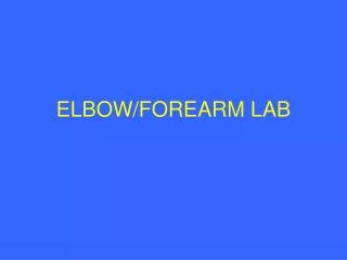 ELBOW/FOREARM LAB