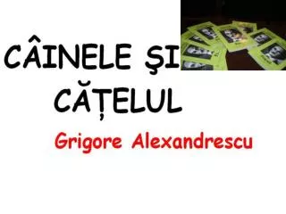 -Cine a fost Gr Alexandrescu? -Ce opere literare aţi studiat din creaţia lui Gr Alexandrescu?