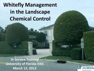 Whitefly Management in the Landscape Chemical Control