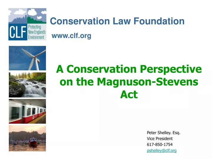 a conservation perspective on the magnuson stevens act
