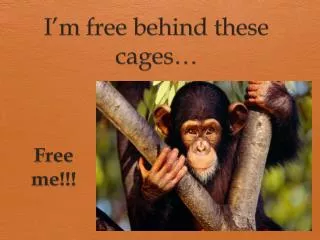 i m free behind these cages