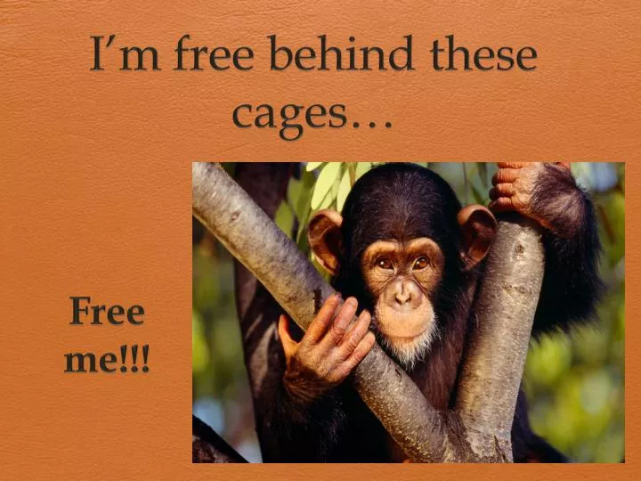 i m free behind these cages