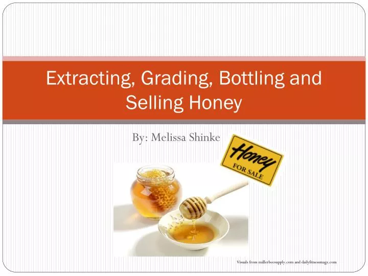 extracting grading bottling and selling honey