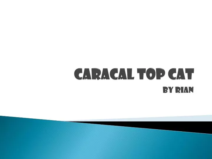 caracal top cat