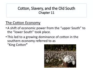 Cotton, Slavery, and the Old South Chapter 11