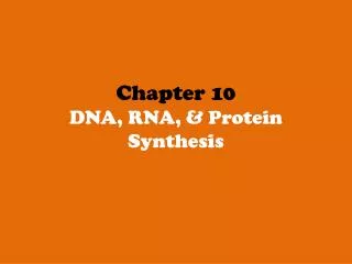 Chapter 10 DNA, RNA, &amp; Protein Synthesis