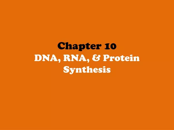 chapter 10 dna rna protein synthesis