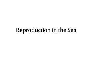 Reproduction in the Sea