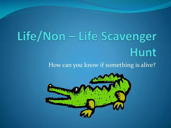 life non life scavenger hunt