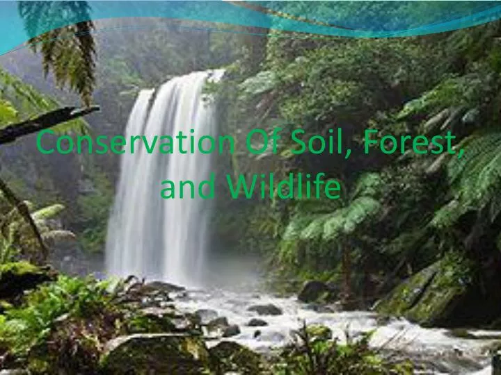 conservation of soil forest and wildlife
