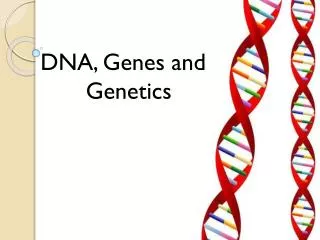 DNA, Genes and 	 Genetics