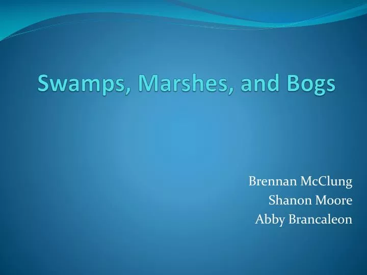 swamps marshes and bogs