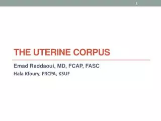 The Uterine Corpus