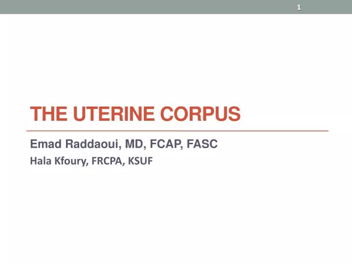 the uterine corpus