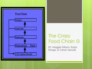 The Crazy Food Chain ?