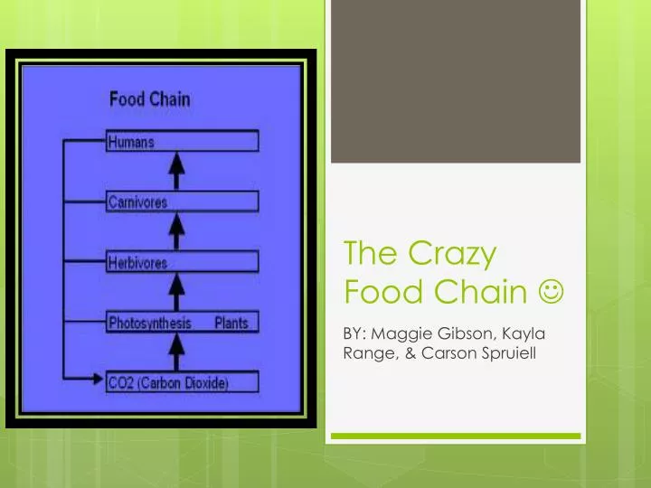 the crazy food chain