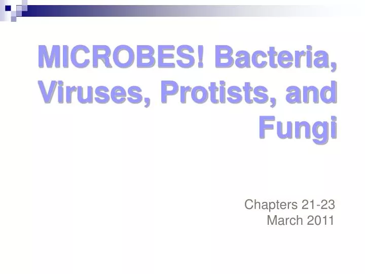 microbes bacteria viruses protists and fungi