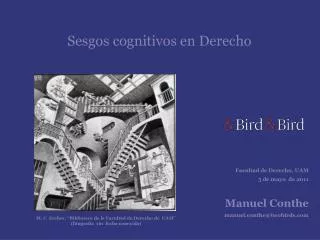 sesgos cognitivos en derecho