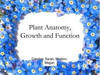 Plant Anatomy, Growth and Function