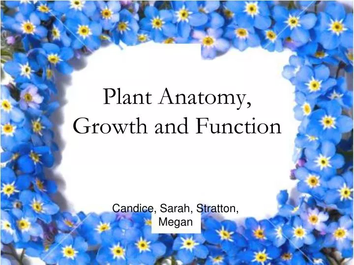 plant anatomy growth and function