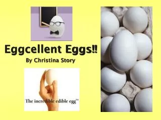Eggcellent Eggs!!