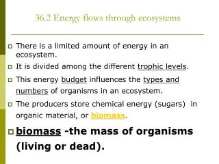 36.2 Energy flows through ecosystems
