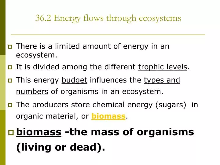 36 2 energy flows through ecosystems