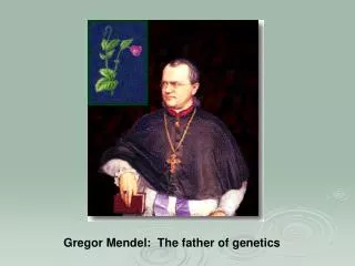Gregor Mendel: The father of genetics