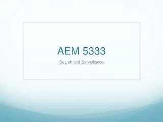 AEM 5333