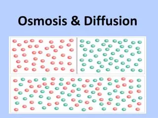 Osmosis &amp; Diffusion