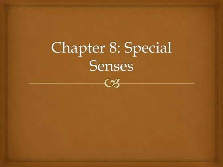 chapter 8 special senses