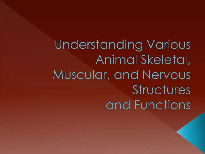 understanding various animal skeletal muscular and nervous structures and functions