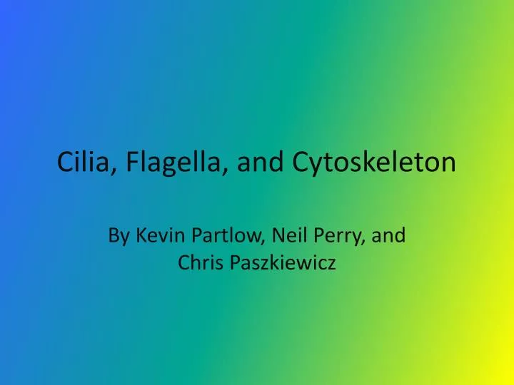 cilia flagella and cytoskeleton