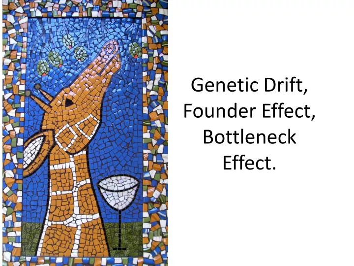 genetic drift founder effect bottleneck effect