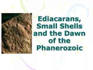 Ediacarans, Small Shells and the Dawn of the Phanerozoic
