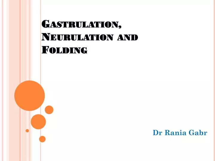 gastrulation neurulation and folding
