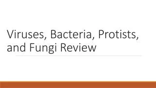 Viruses, Bacteria, Protists, and Fungi Review