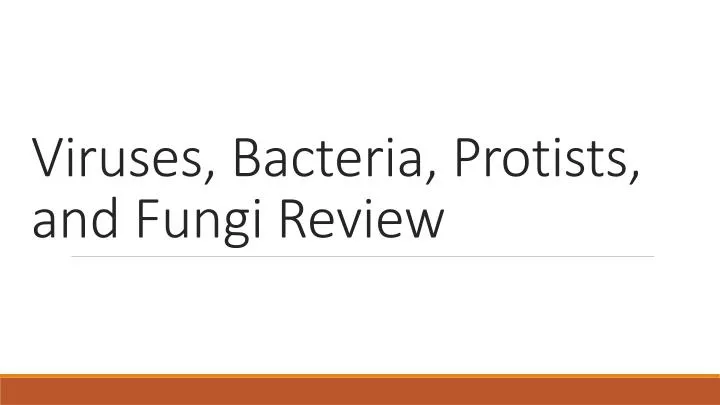 viruses bacteria protists and fungi review
